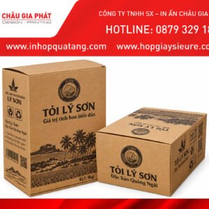 in hộp giấy kraft